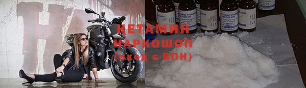 ГАЛЛЮЦИНОГЕННЫЕ ГРИБЫ Богданович