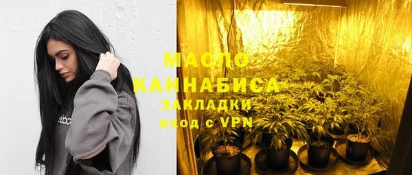 дживик Бронницы