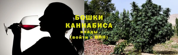 ГАЛЛЮЦИНОГЕННЫЕ ГРИБЫ Богданович