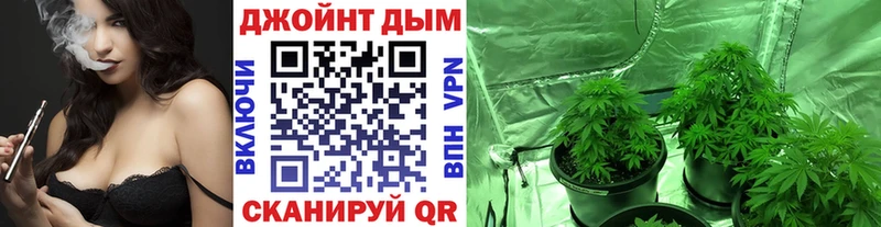 omg ONION  закладки  Юрга  Бошки марихуана сатива 